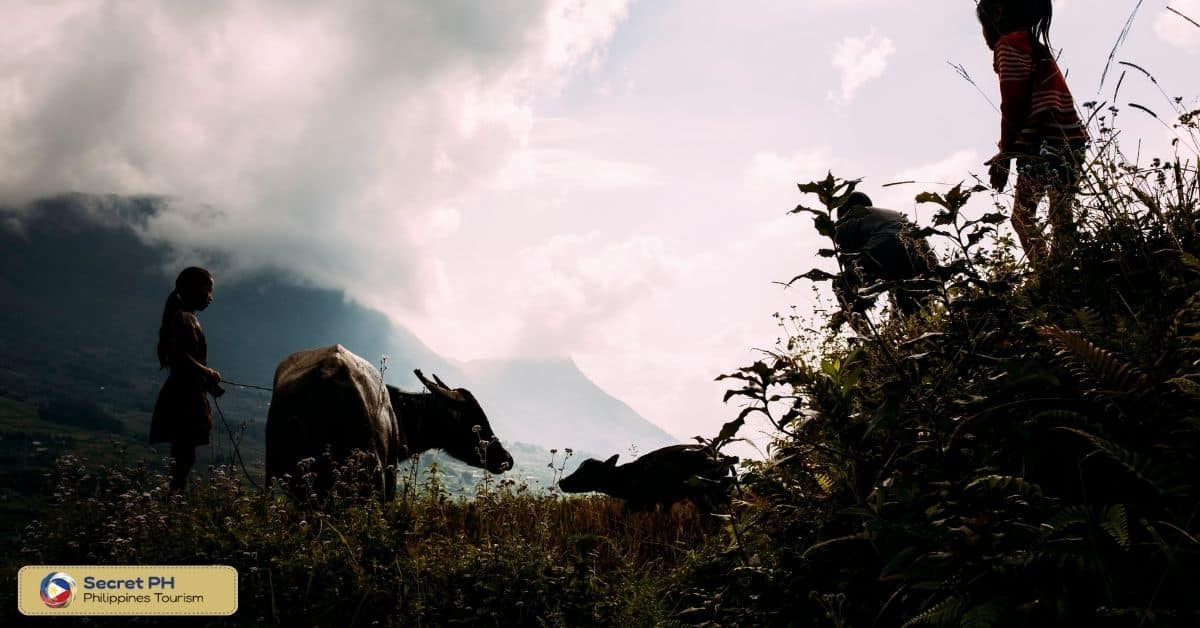 Understanding the Rural Landscape in the Philippines