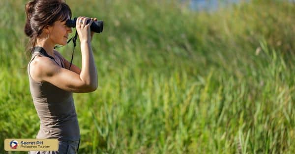 Unforgettable Experiences: Activities at Mount Polis