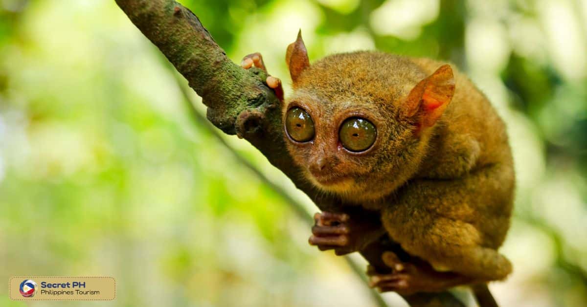 2. Unique Adaptations for Survival