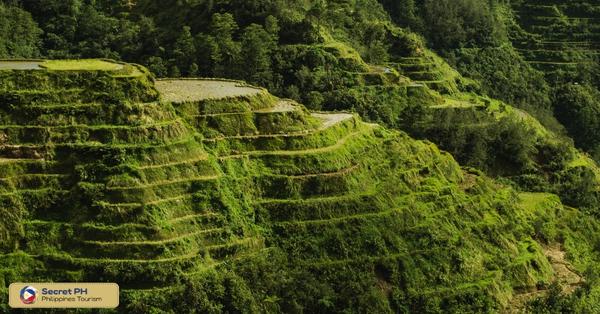 Unique Features of Tinglayan Rice Terraces