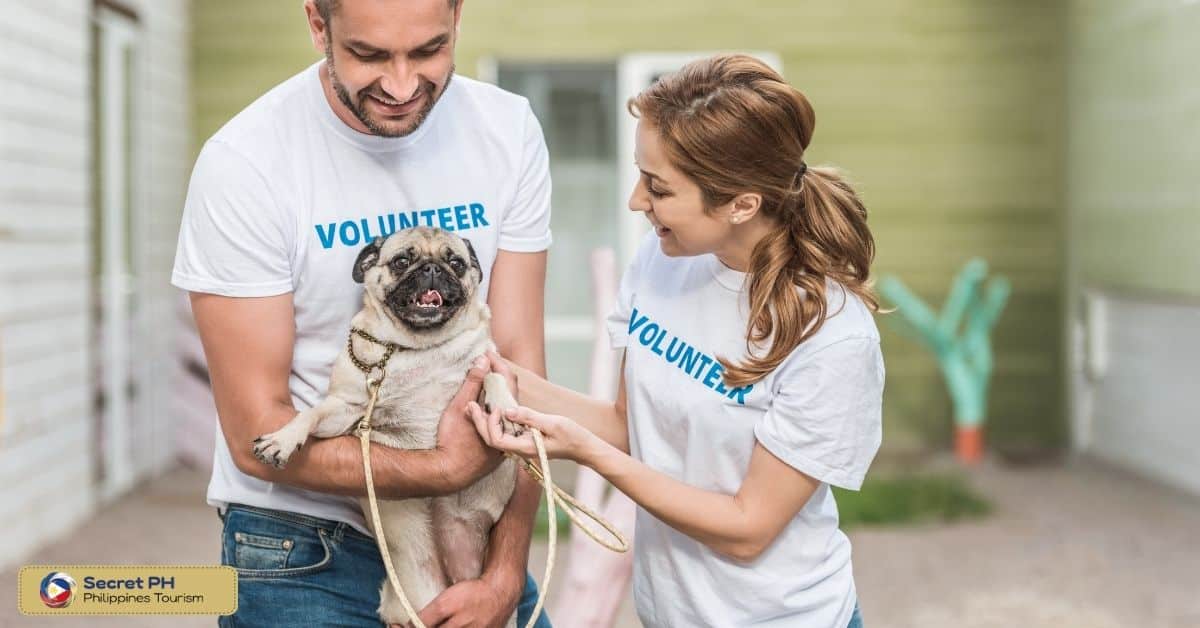 Volunteer Recruitment and Training