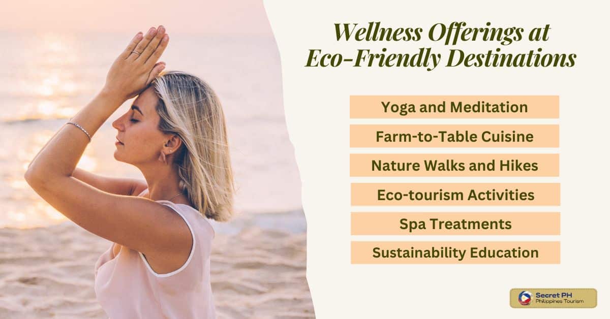 Wellness Offerings at Eco-Friendly Destinations
