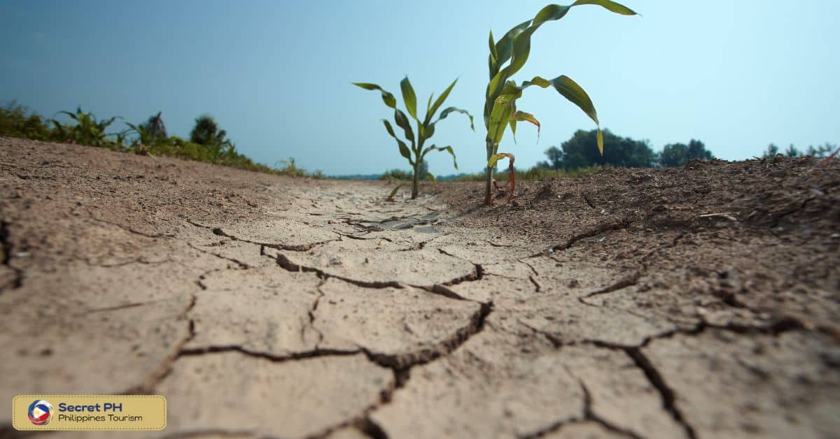 What is El Niño?
