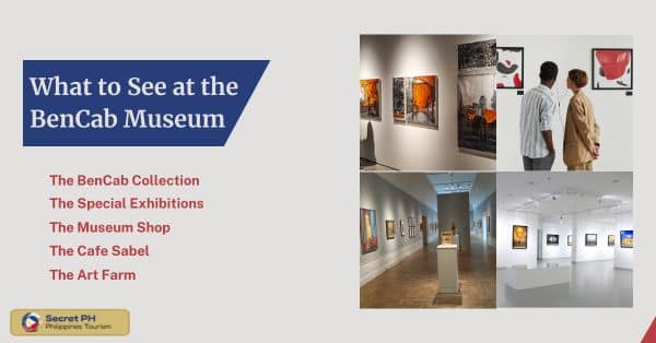 What to See at the BenCab Museum