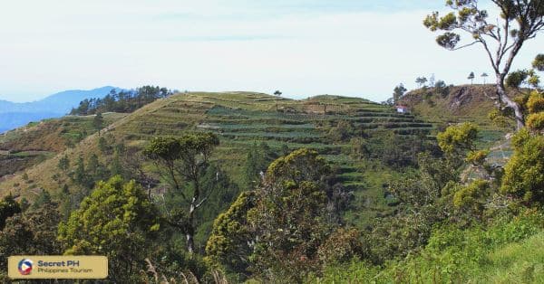 Wildlife Conservation Efforts of Benguet