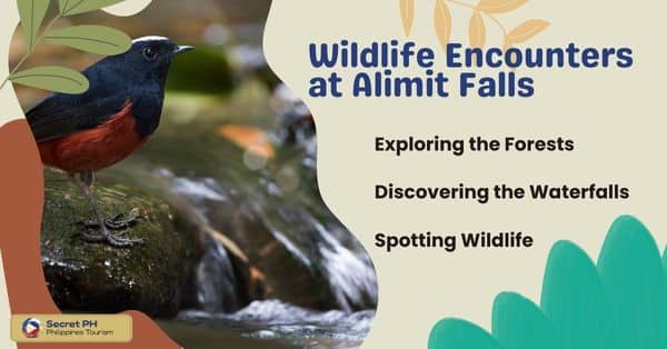 Wildlife Encounters at Alimit Falls