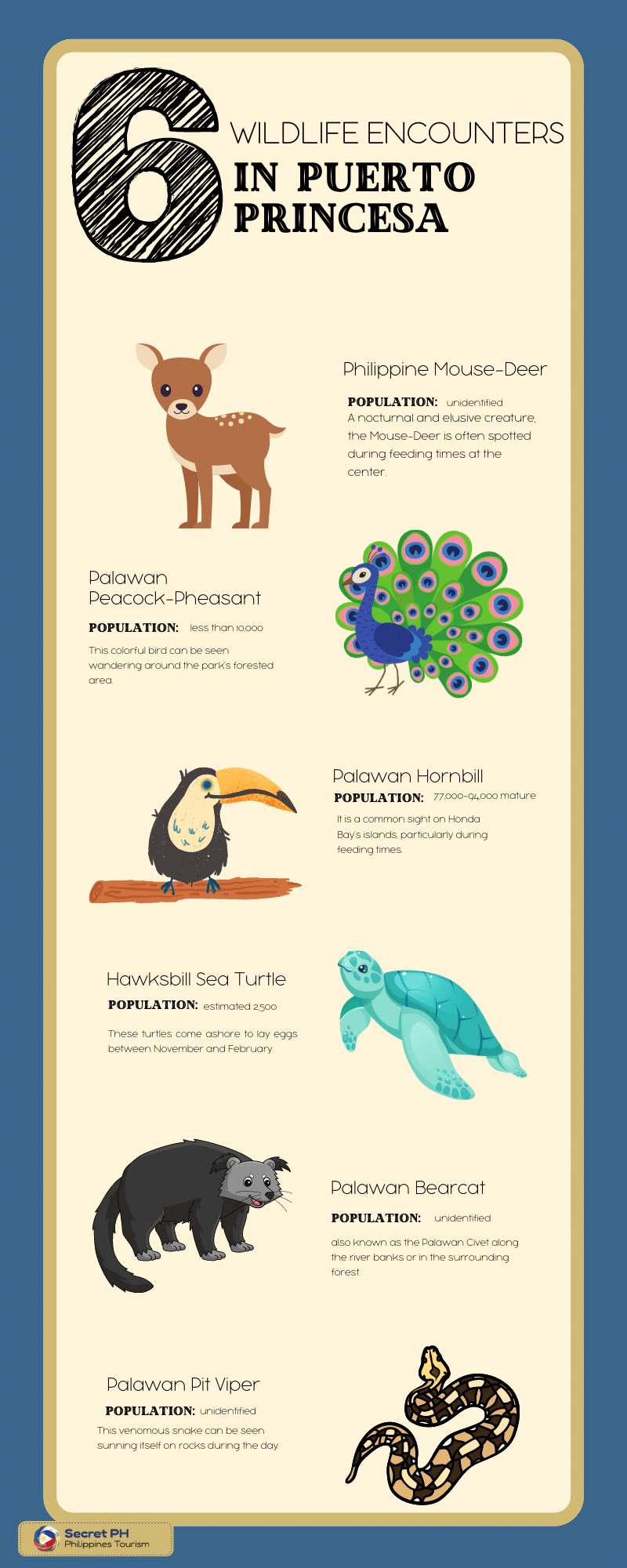 Wildlife Encounters in Puerto Princesa 