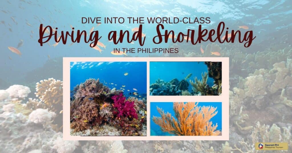 Dive into the World-Class Diving and Snorkeling in the Philippines
