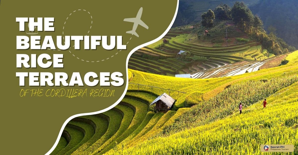 The Beautiful Rice Terraces of the Cordillera Region