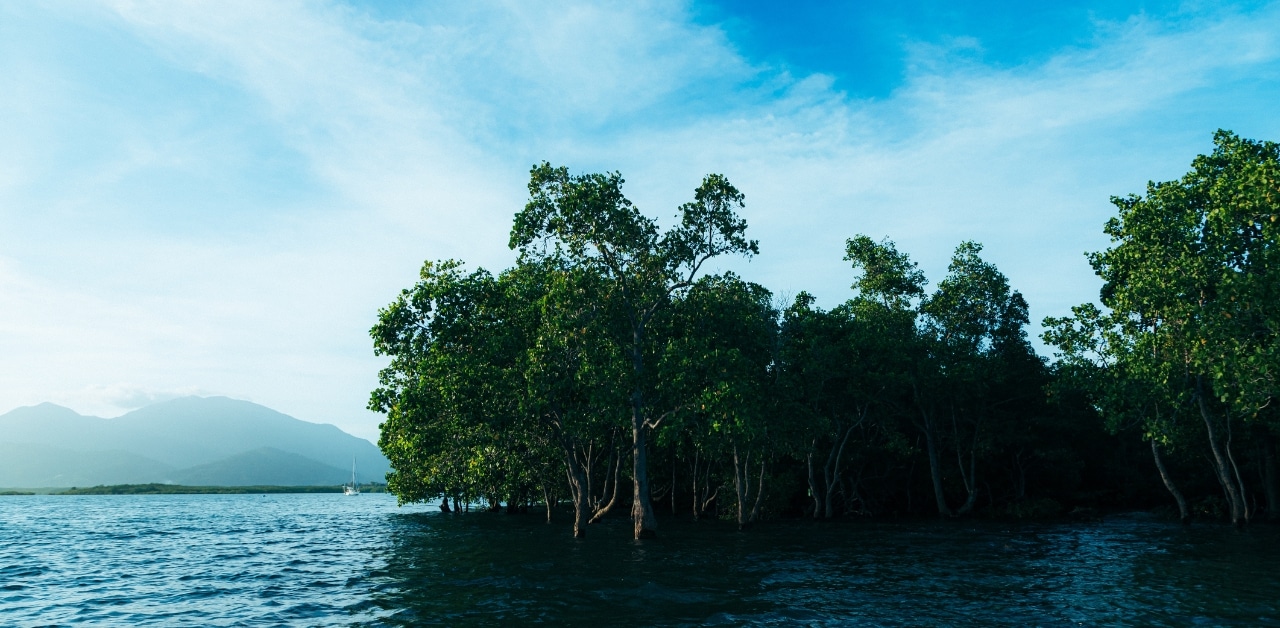 Malampaya Sound Protected Landscape and Seascape