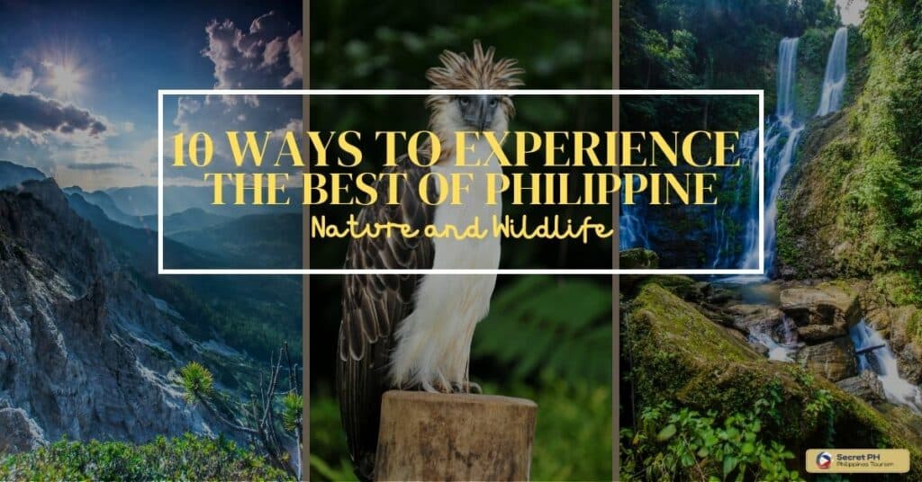 10 Ways to Experience the Best of Philippine Nature and Wildlife