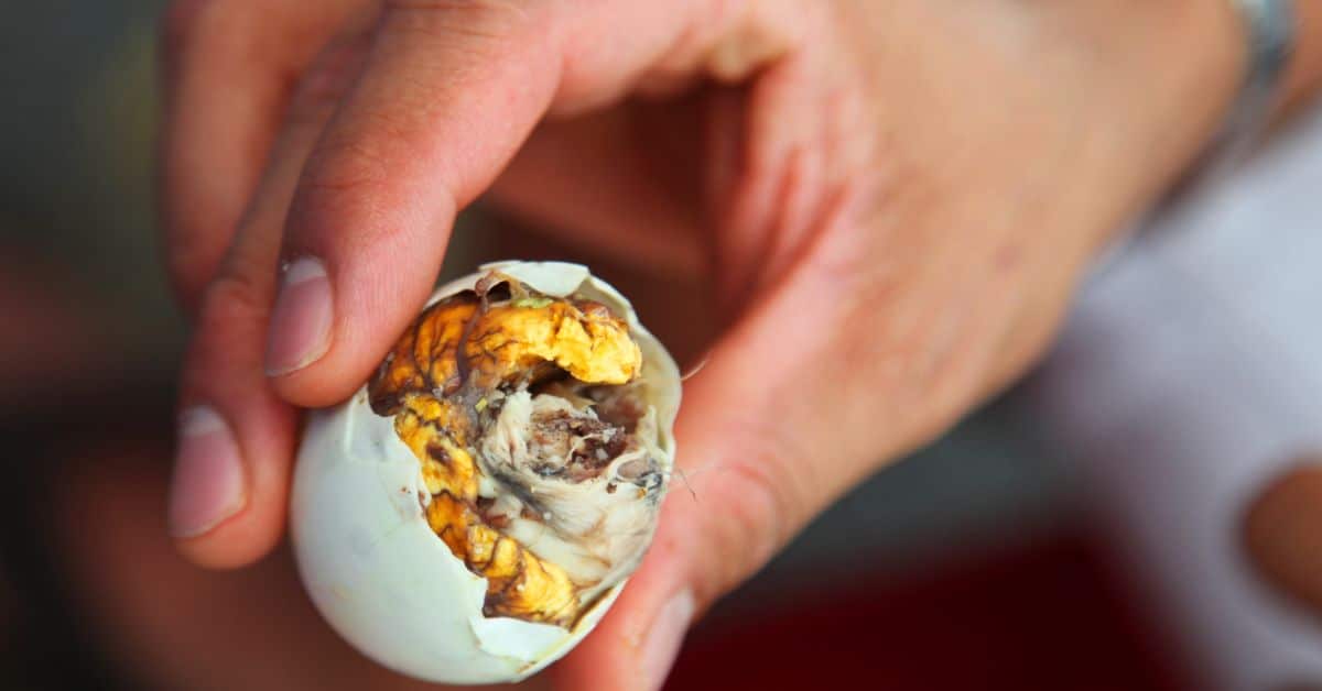 Balut: Boiled Fertilized Duck Egg