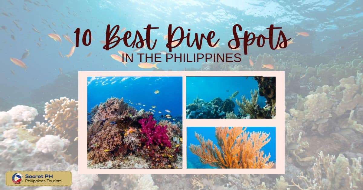 10 Best Dive Spots in the Philippines
