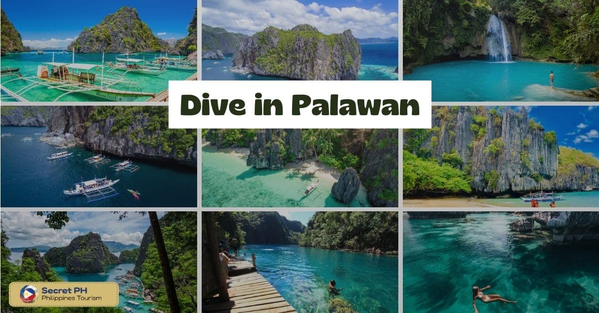 Dive in Palawan