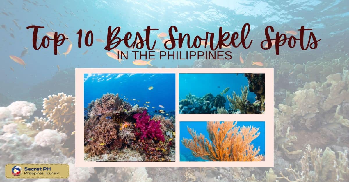 Top 10 Best Snorkel Spots in the Philippines