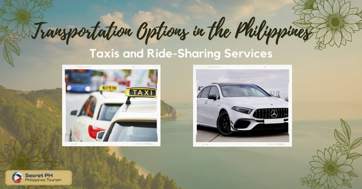 Taxis and Ride-Sharing Services