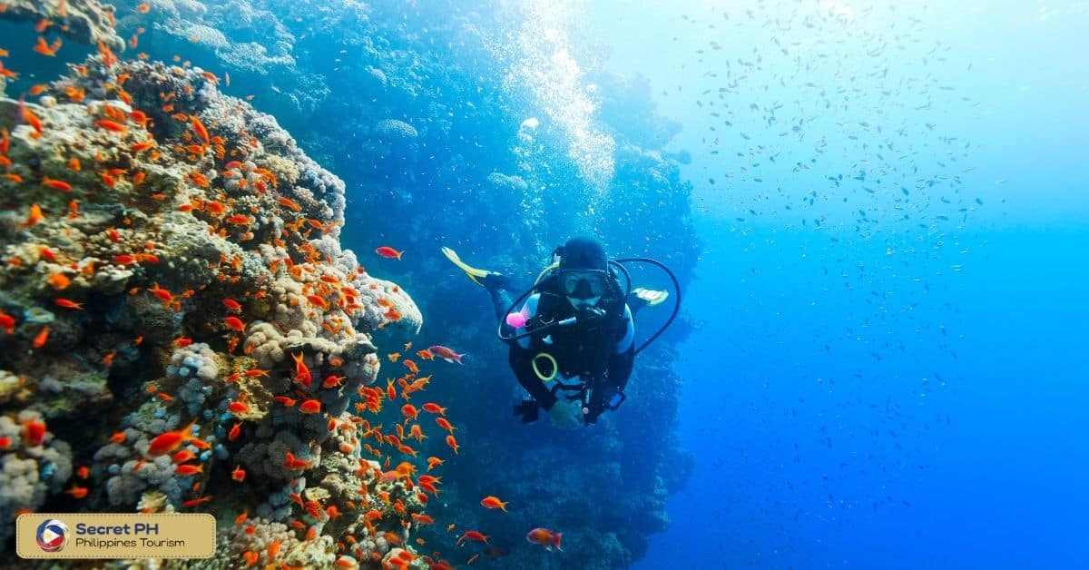 scuba diving and snorkeling