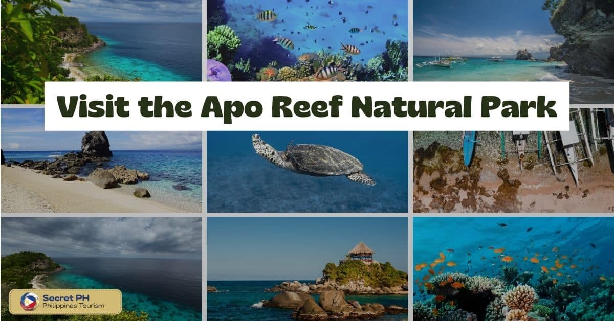 Visit the Apo Reef Natural Park