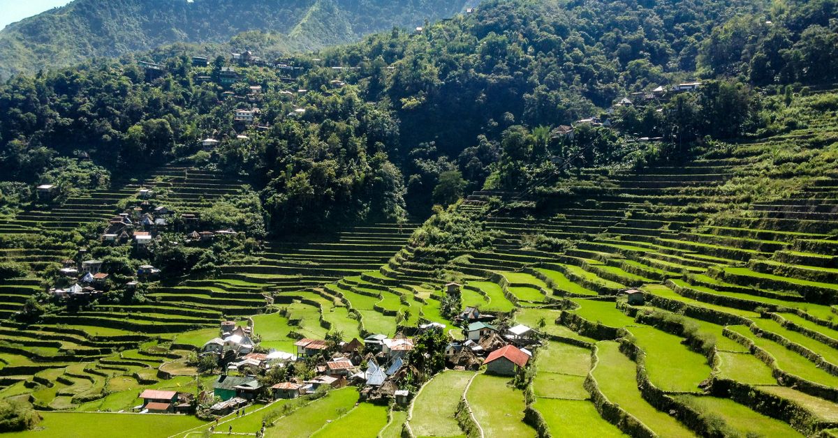 Banaue Rice Terraces