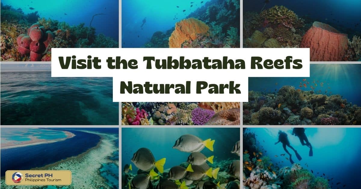 Visit the Tubbataha Reefs Natural Park