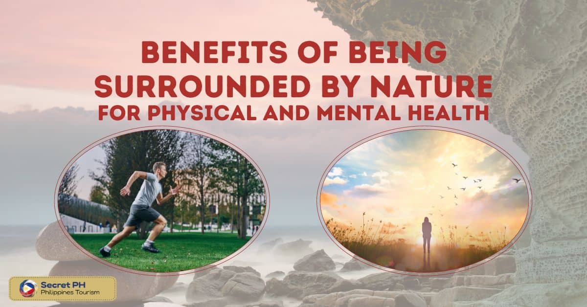 Benefits of Being Surrounded by Nature for Physical and Mental Health