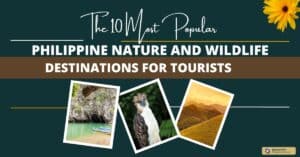 The 10 Most Popular Philippine Nature and Wildlife Destinations for Tourists