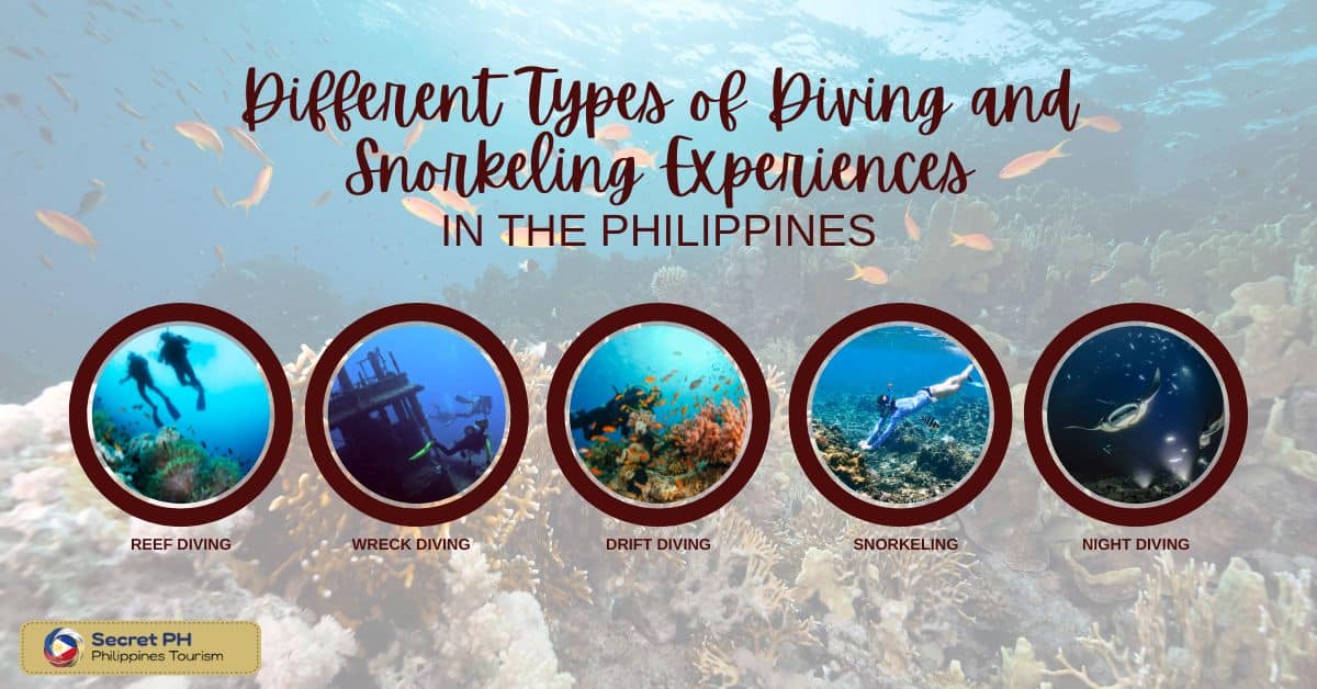 Different Types of Diving and Snorkeling Experiences Available in the Philippines