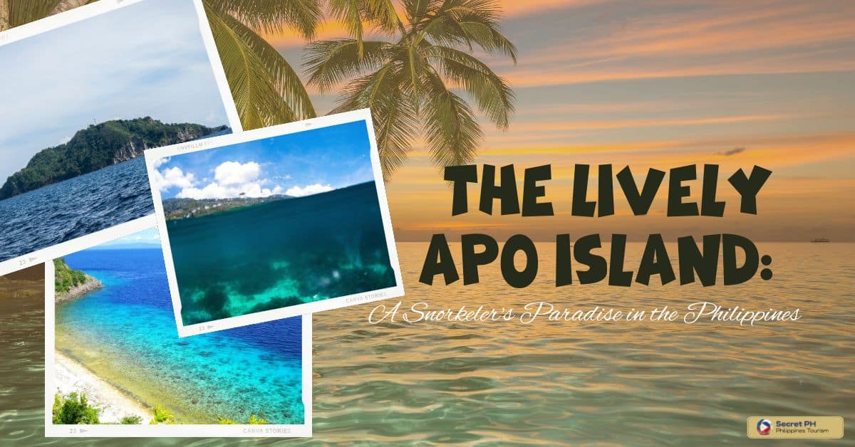 The Lively Apo Island: A Snorkeler's Paradise in the Philippines