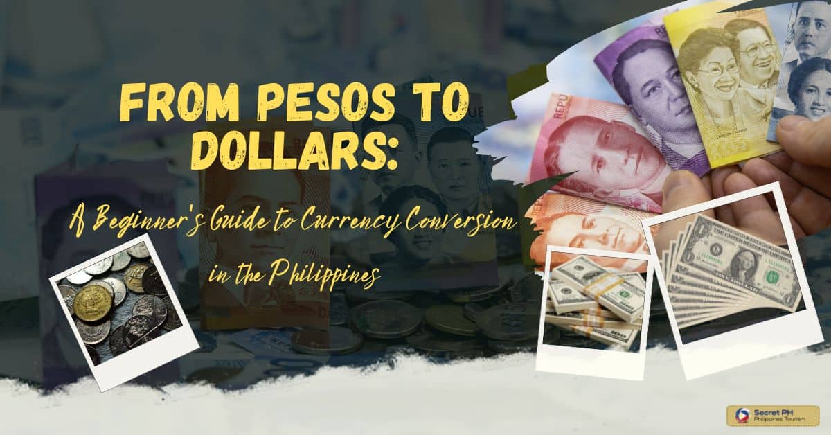 From Pesos to Dollars A Beginner's Guide to Currency Conversion in the