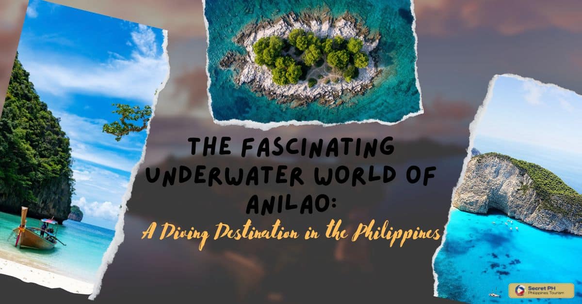 The Fascinating Underwater World of Anilao: A Diving Destination in the Philippines