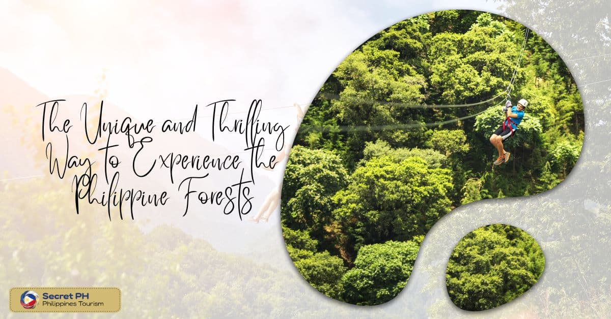 The Unique and Thrilling Way to Experience the Philippine Forests