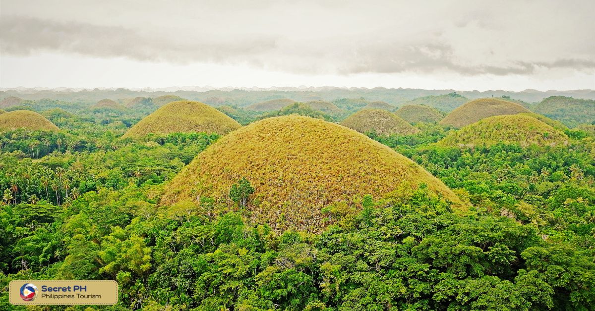 History and Origin of the Chocolate Hills