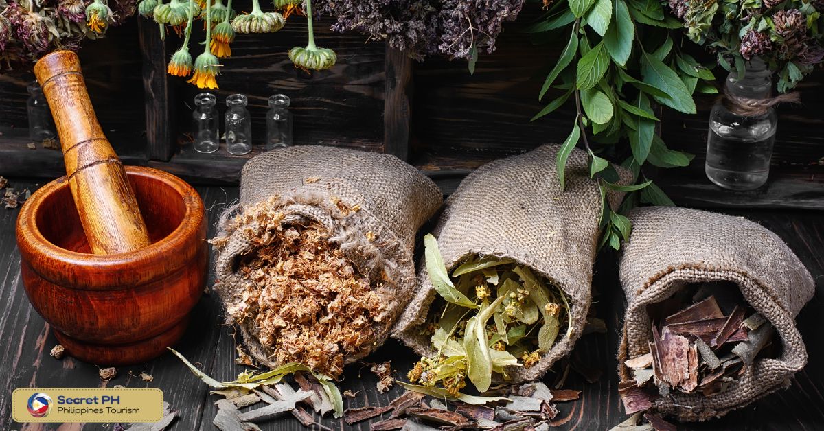 History of Philippine Traditional Medicine