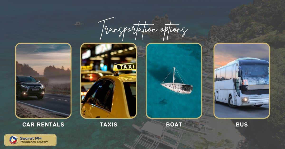 Transportation options