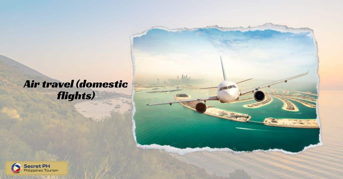Air travel (domestic flights)