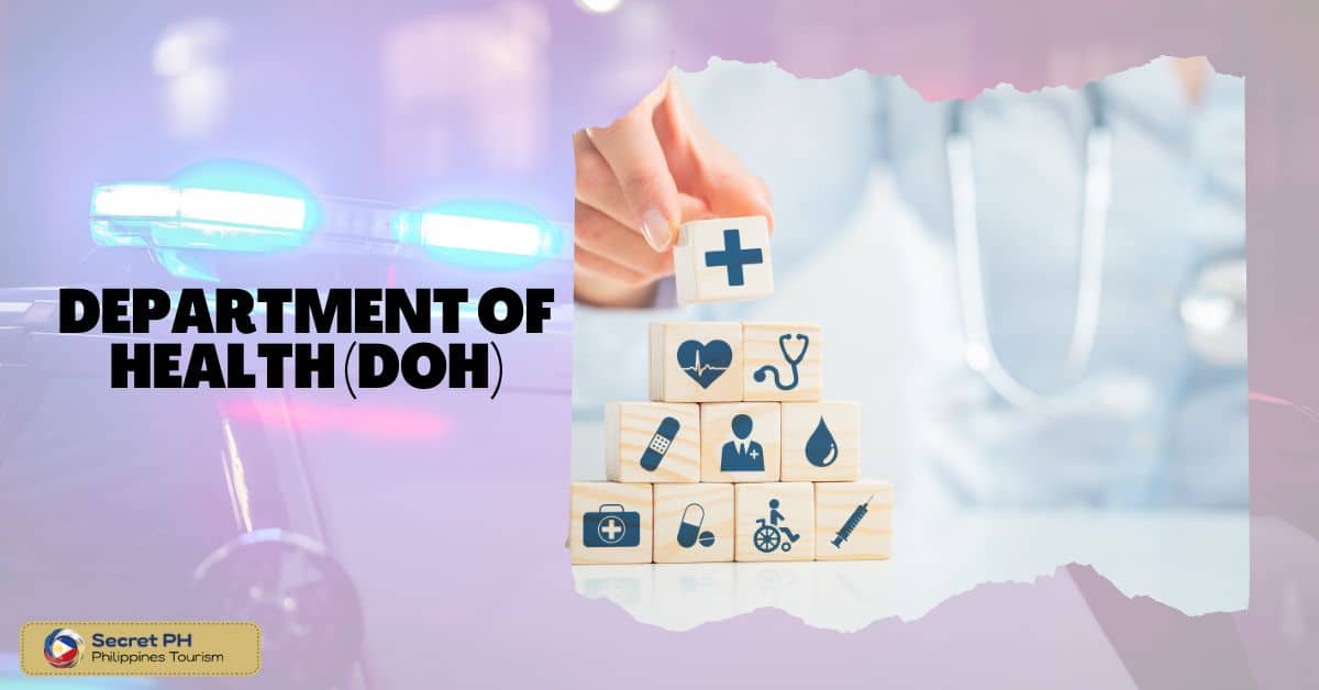Establishment of the Department of Health (DOH)
