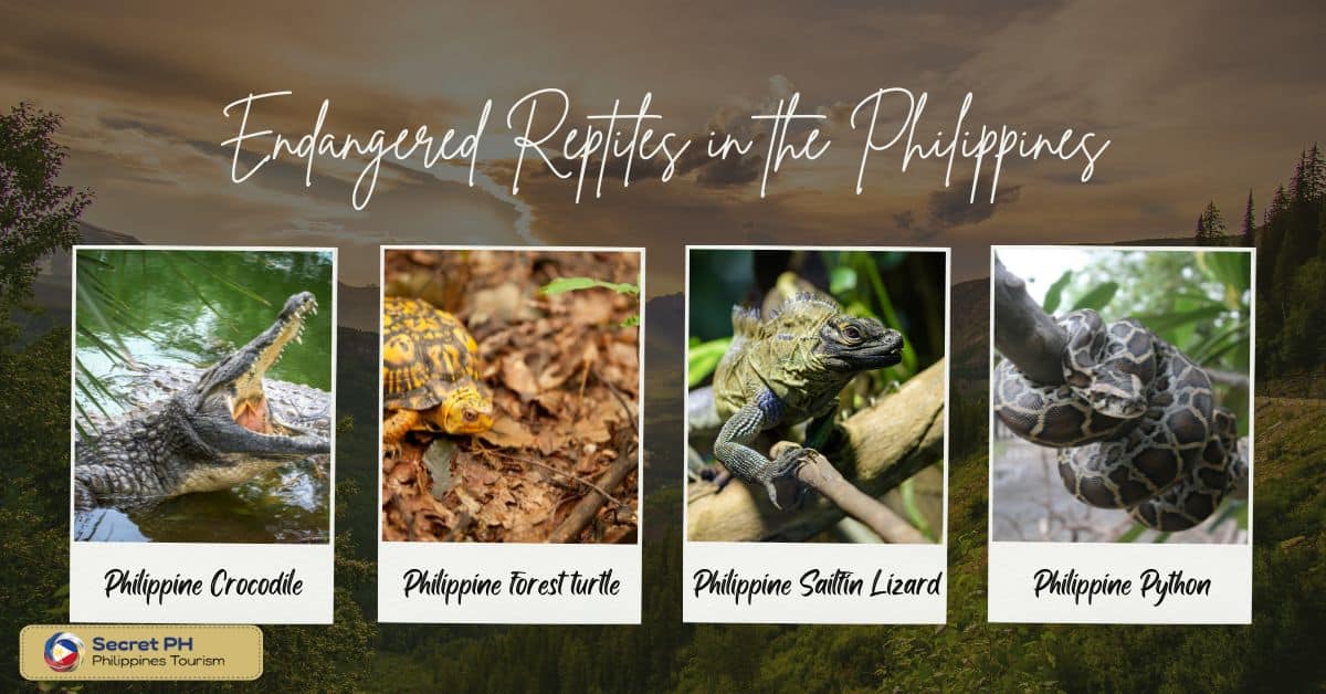 Endangered Reptiles in the Philippines