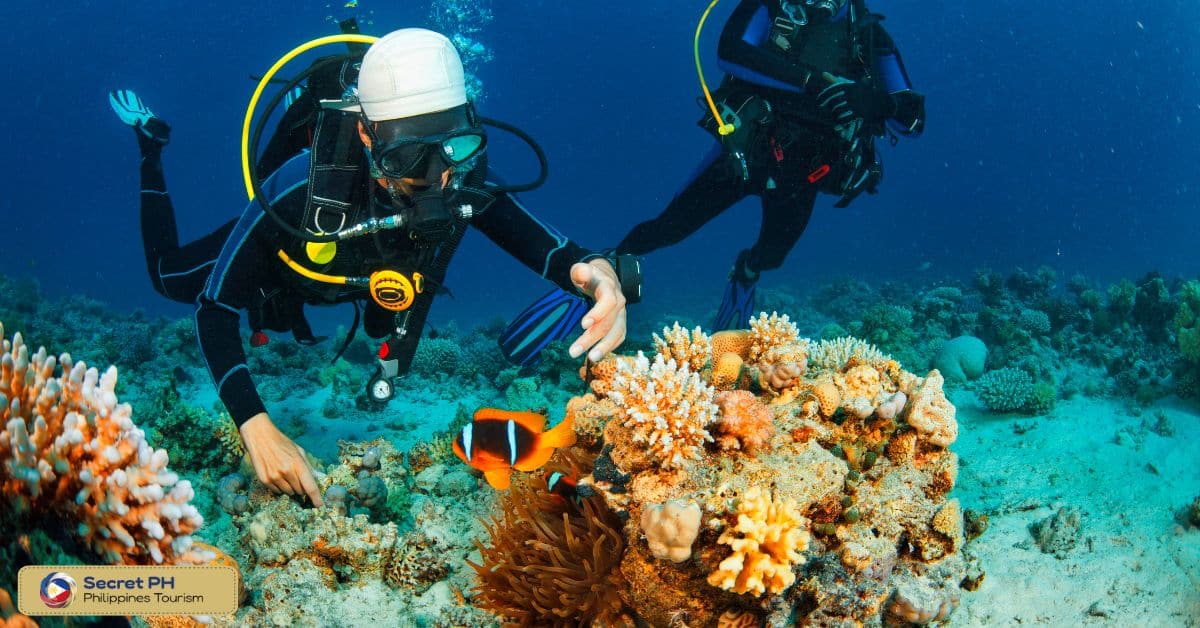 Snorkeling and diving