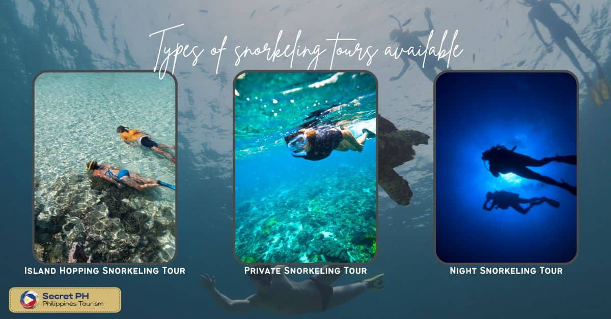 Types of snorkeling tours available