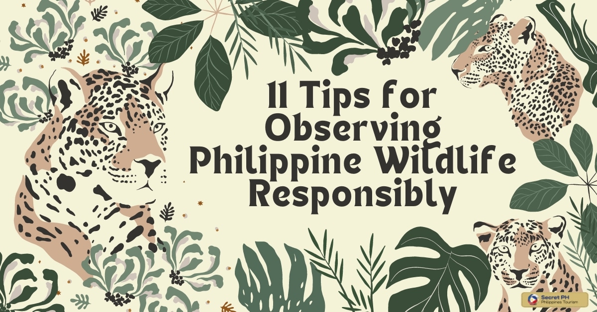 11 Tips for Observing Philippine Wildlife Responsibly
