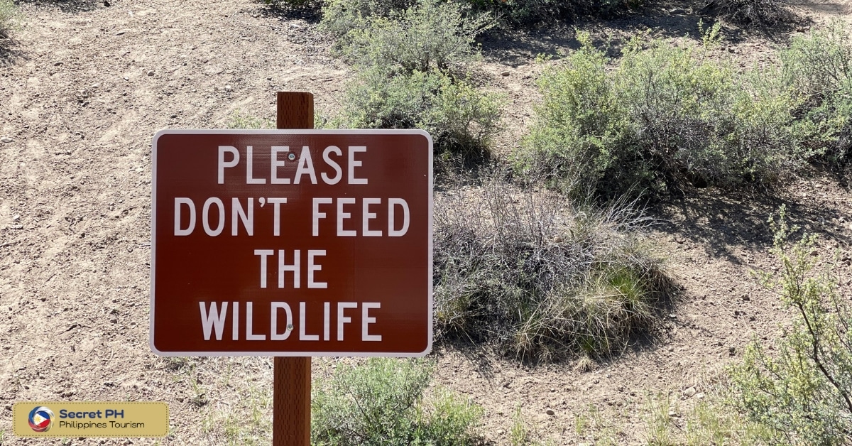 Don't feed the wildlife
