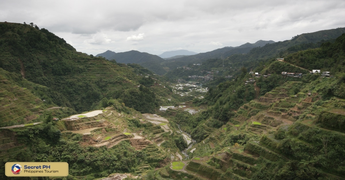 Historical and Cultural Significance of the Rice Terraces
