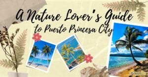 A Nature Lover’s Guide to Puerto Princesa City