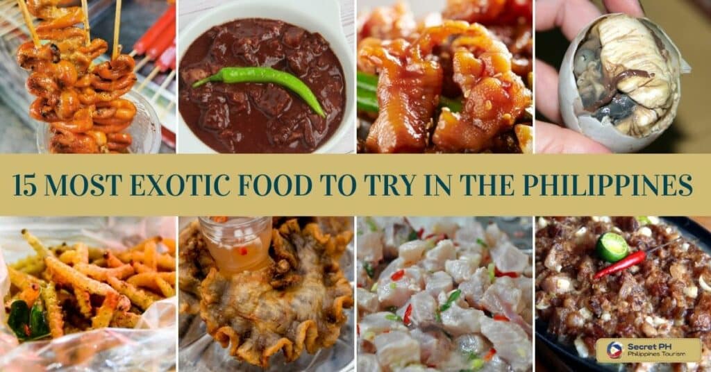 15 Most Exotic Food To Try in the Philippines
