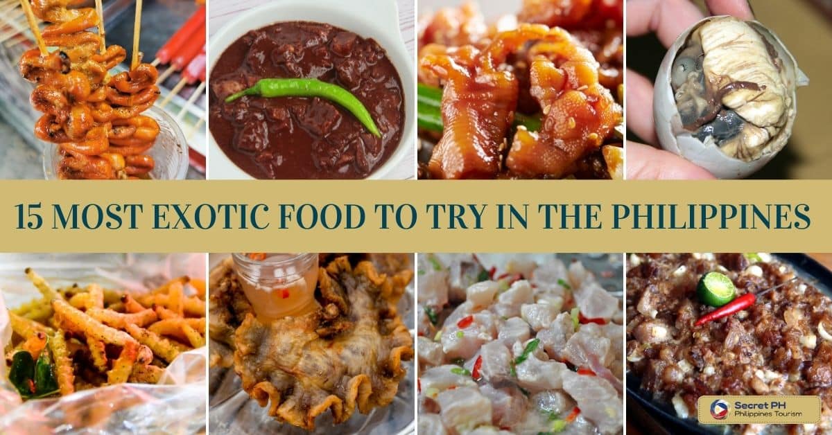 15 Most Exotic Food To Try in the Philippines