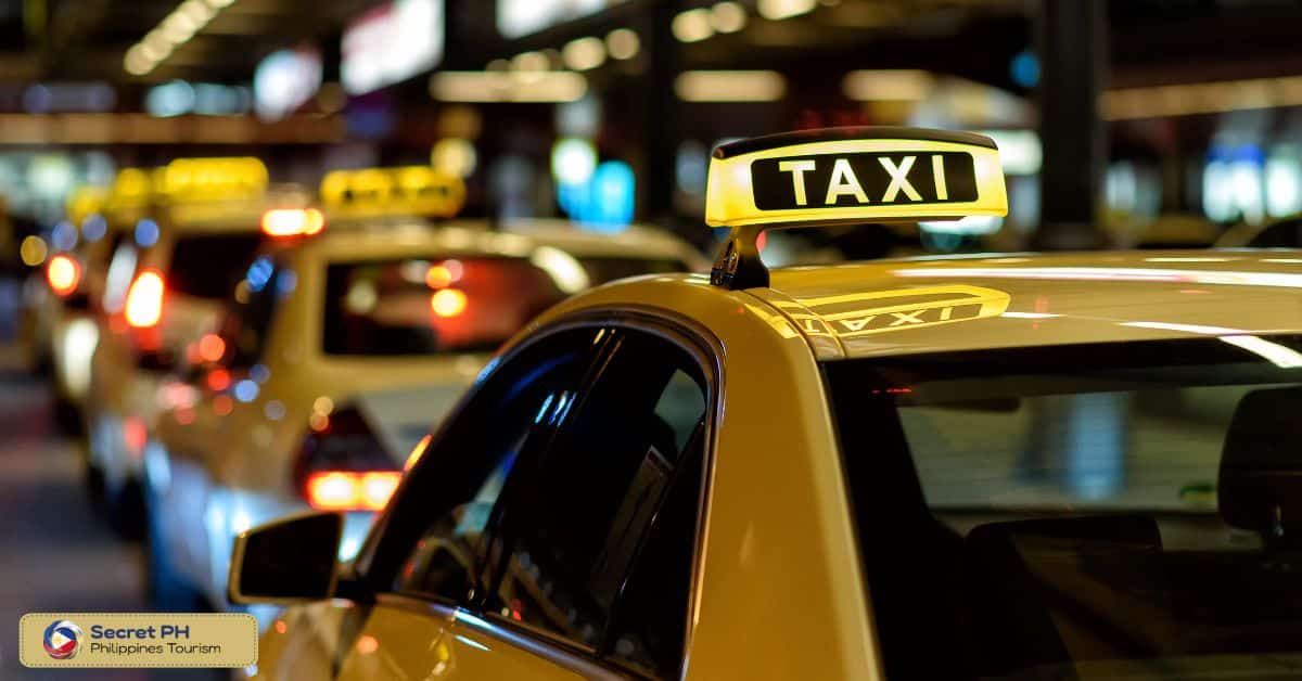 Taxis and Ride-hailing Services