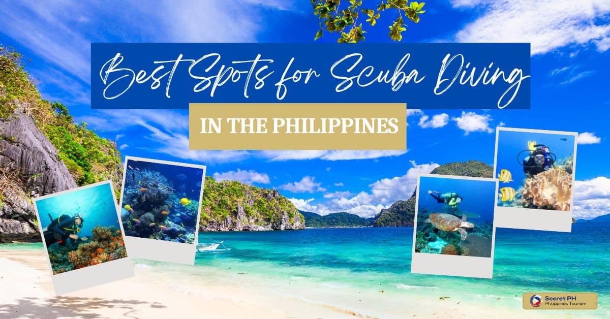 Best Spots for Scuba Diving in the Philippines