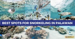 Best Spots for Snorkeling in Palawan