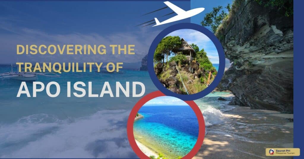 Discovering the Tranquility of Apo Island