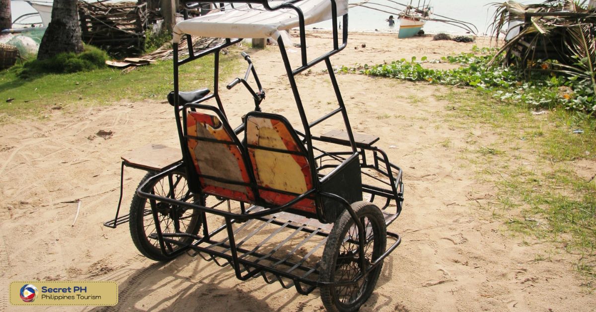 Economic Impact of Pedicab Use in the Philippines